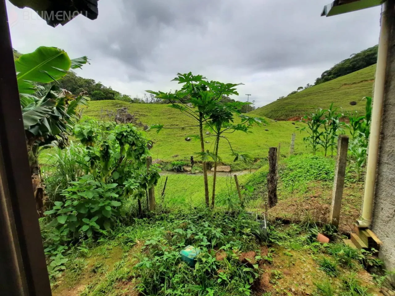 Sitio com 7.900m com lagoa, ribeirão no bairro Vila Itoupava — foto 3