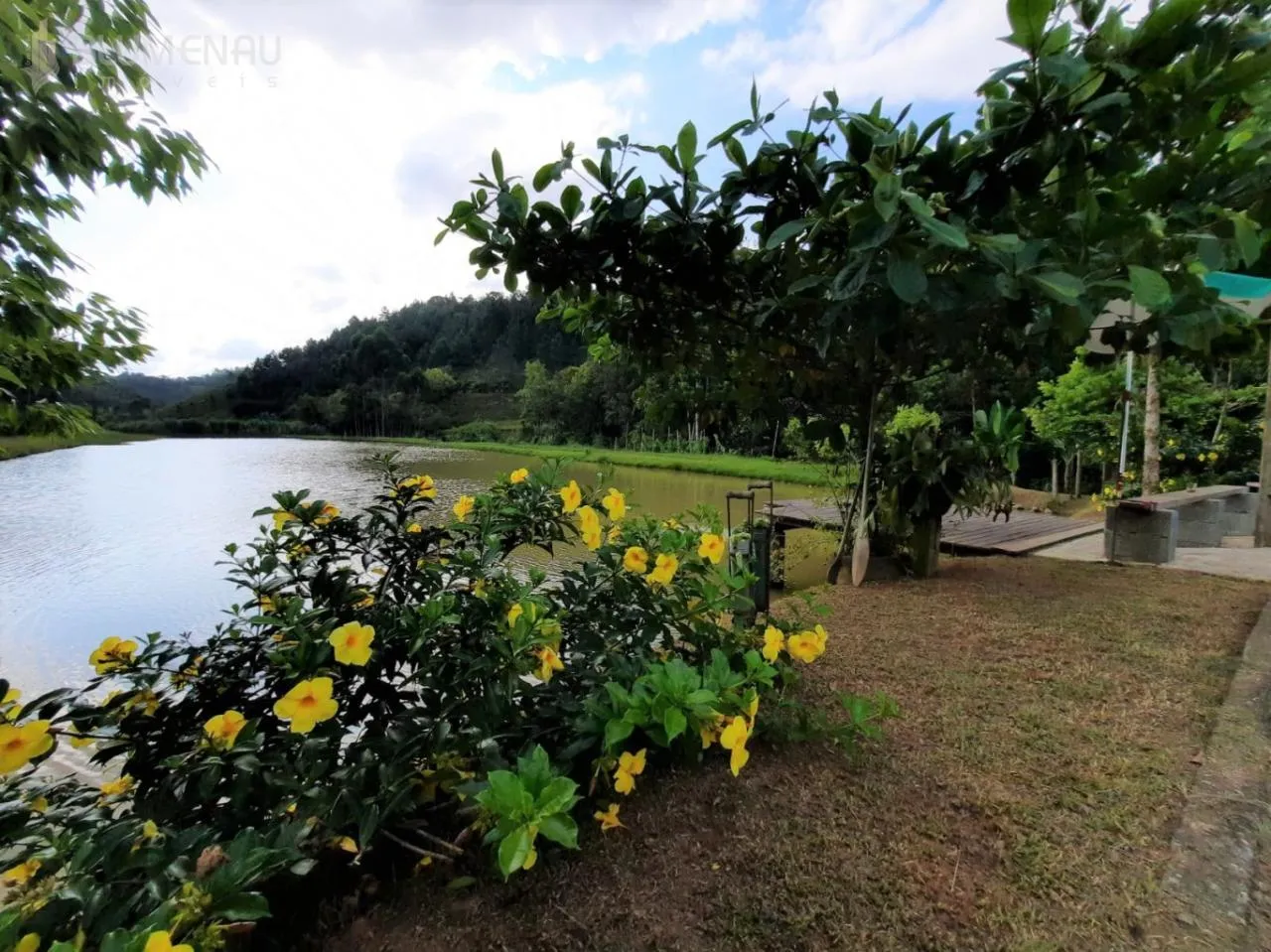 Sitio com 7.900m com lagoa, ribeirão no bairro Vila Itoupava — foto 4
