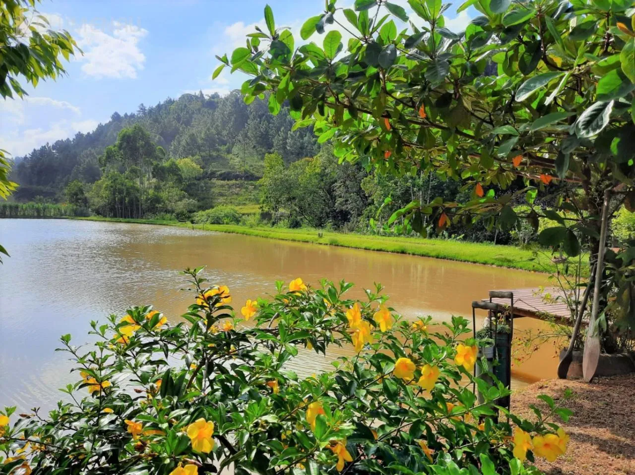 Sitio com 7.900m com lagoa, ribeirão no bairro Vila Itoupava — foto 5