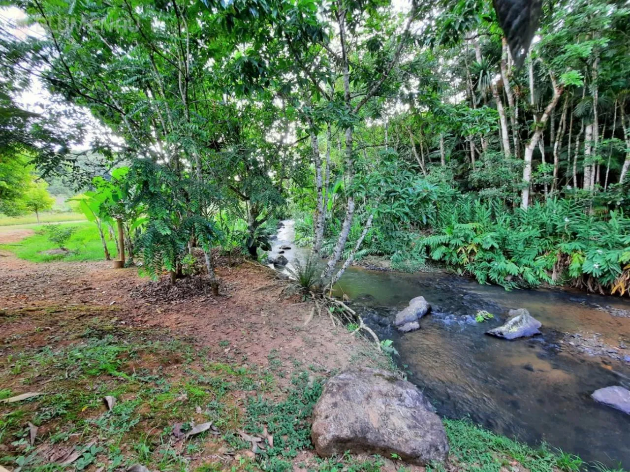 Sitio com 7.900m com lagoa, ribeirão no bairro Vila Itoupava — foto 6
