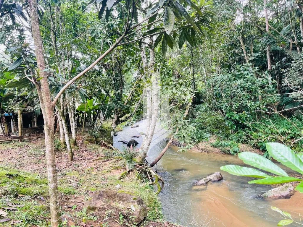Sitio com 7.900m com lagoa, ribeirão no bairro Vila Itoupava — foto 7