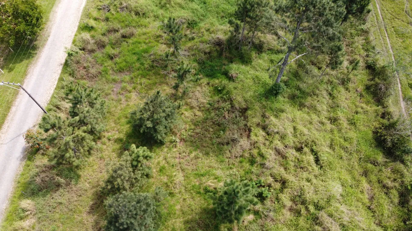 Ótimo Terreno de 3.022,50 M2 ao lado do Paraíso dos Poneis, próximo da HAVAN, bairro bela vista em Gaspar SC. — foto 5