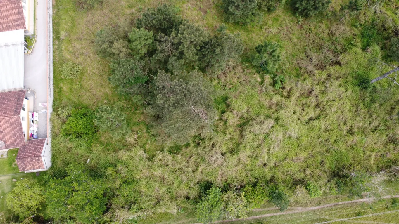Ótimo Terreno de 3.022,50 M2 ao lado do Paraíso dos Poneis, próximo da HAVAN, bairro bela vista em Gaspar SC. — foto 6