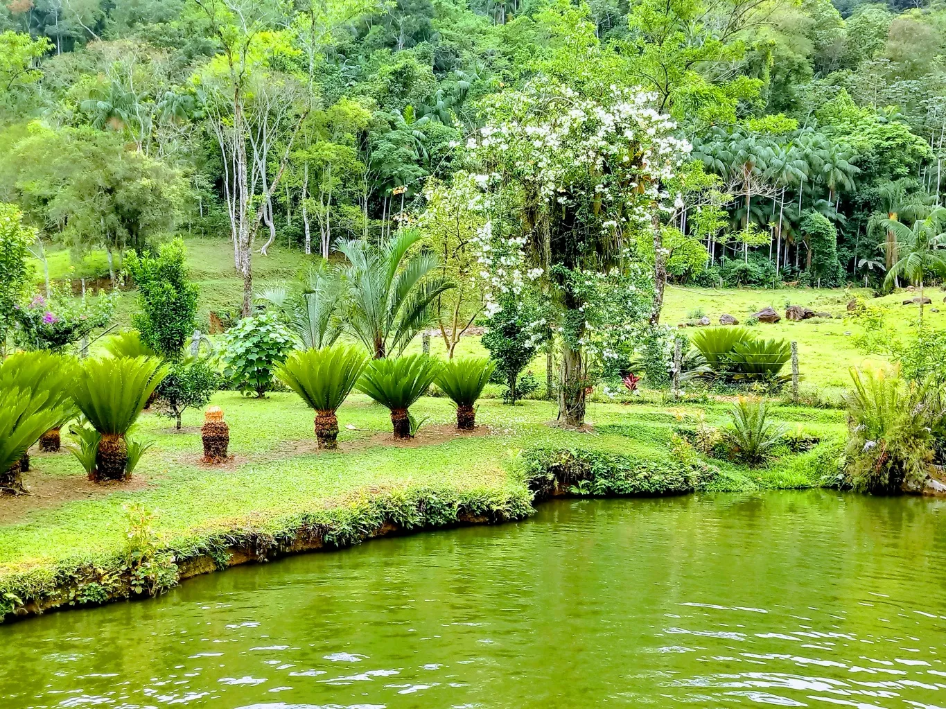 Confira abaixo mais detalhes deste lindo sítio no Bairro Encano em Indaial, aproximadamente 18 km da Vila Germânica, a venda aqui na Dinâmica Sul Imobiliária! — foto 4