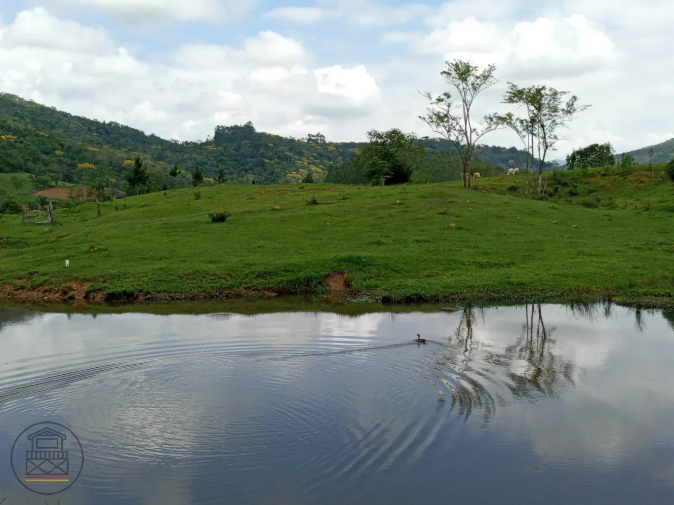 Excelente oportunidade para morar em um sítio maravilhoso e viver aquele sonho!!!! — foto 5