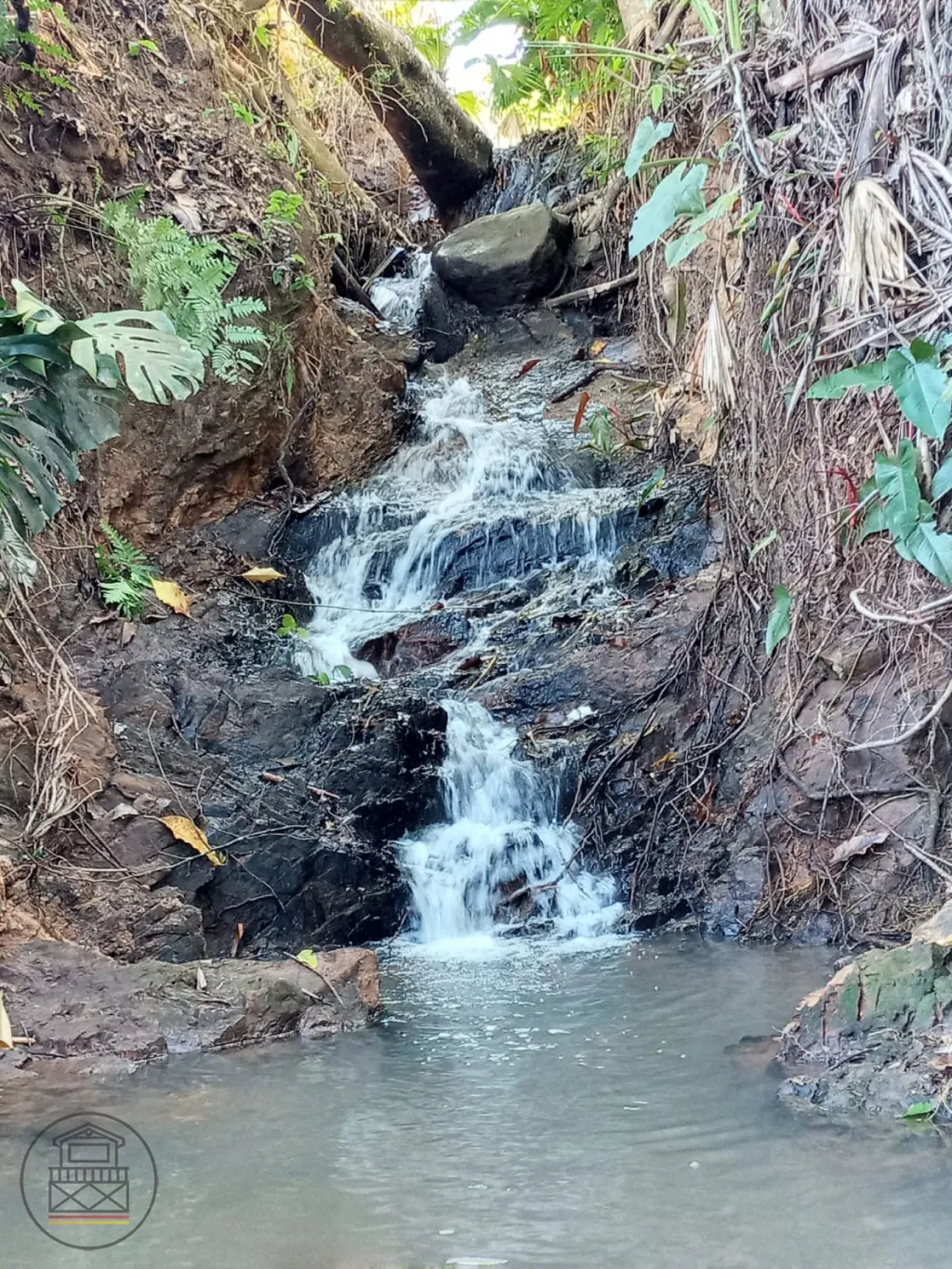 Excelente oportunidade para morar em um sítio maravilhoso e viver aquele sonho!!!! — foto 6