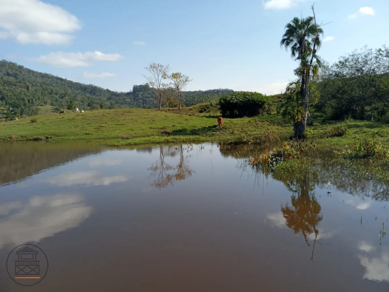 Excelente oportunidade para morar em um sítio maravilhoso e viver aquele sonho!!!! — foto 7