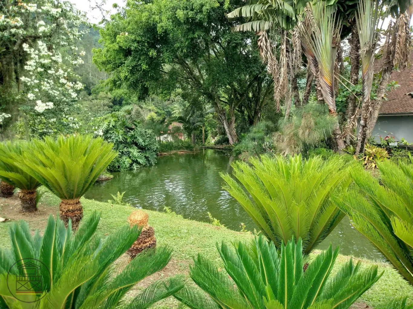 Excelente oportunidade para morar em um sítio maravilhoso e viver aquele sonho!!!! - foto 1