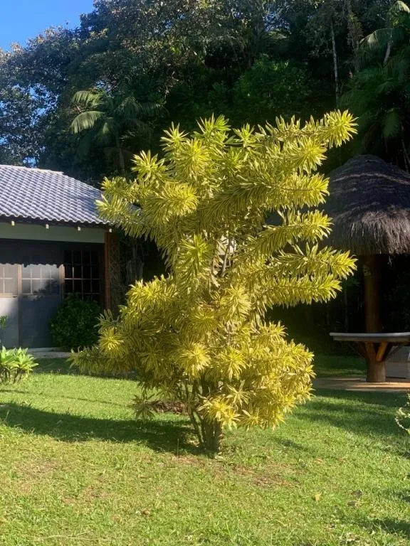 CASA no PIRABEIRABA com 4 quartos para VENDA, 390 m — foto 2