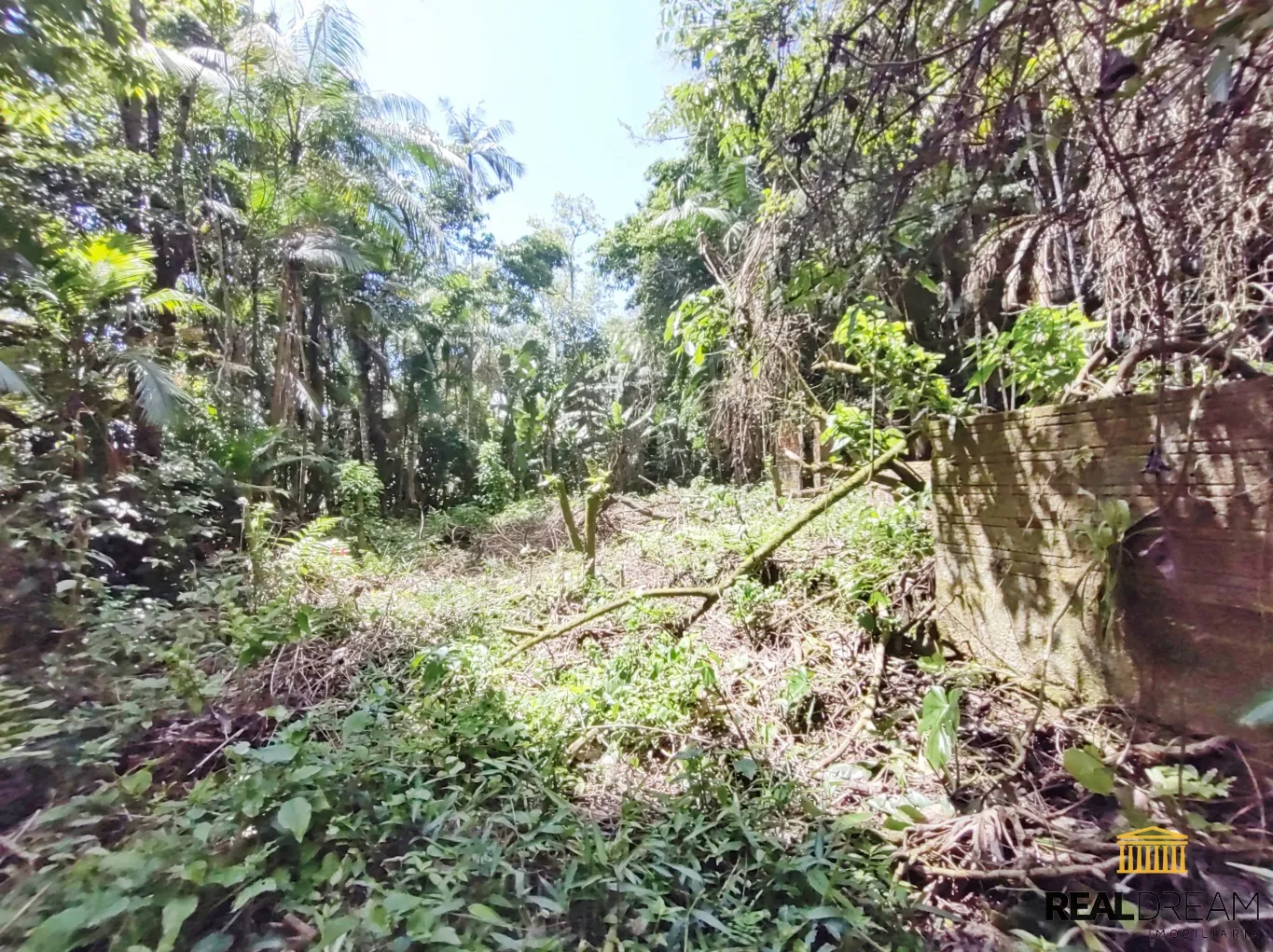 Terreno para sítio — foto 3