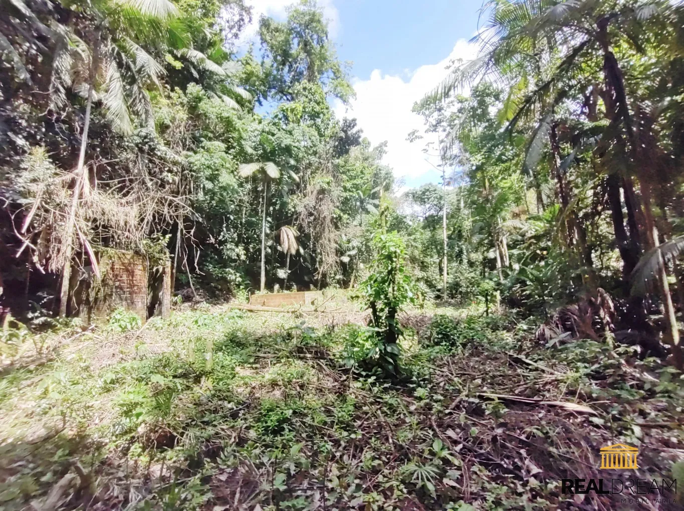 Terreno para sítio — foto 4