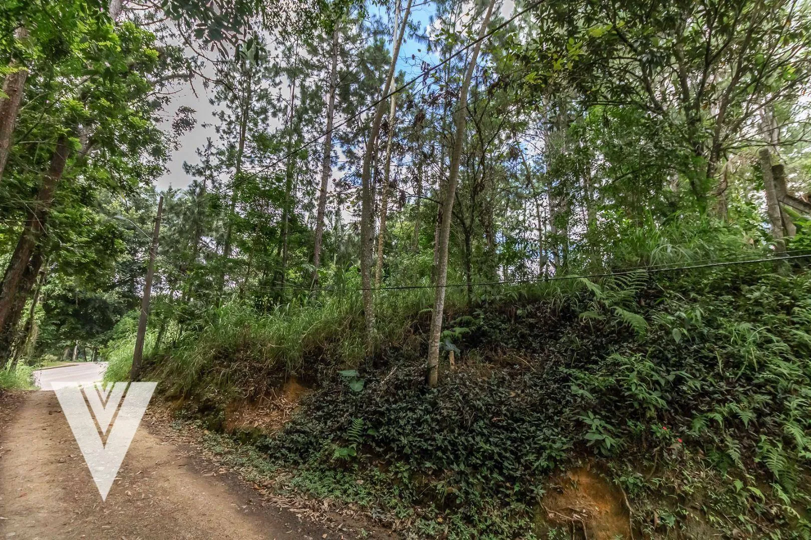Terreno à venda, 3348 m por R$ 1.200.000,00 - Passo Manso - Blumenau/SC - foto 1
