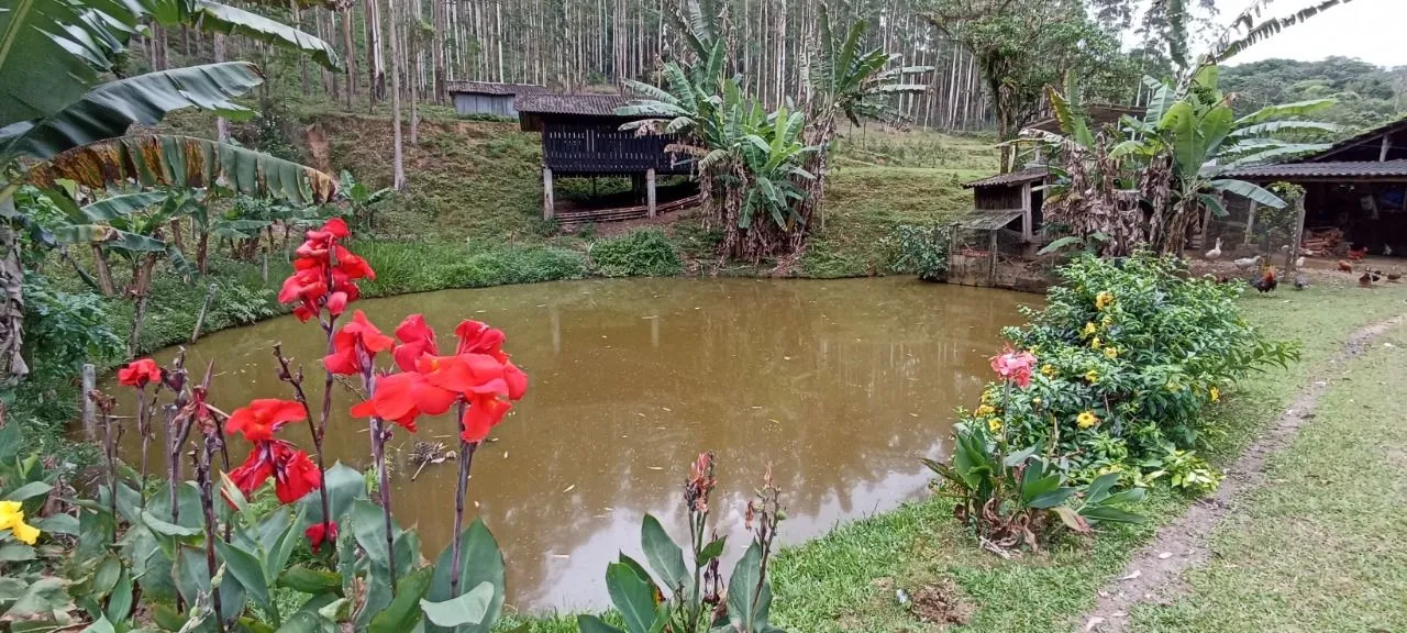 Chácara com 5 quarto(s) à venda no bairro Rio Bonito em Joinville, por R$ 7.000.000.00. - foto 1