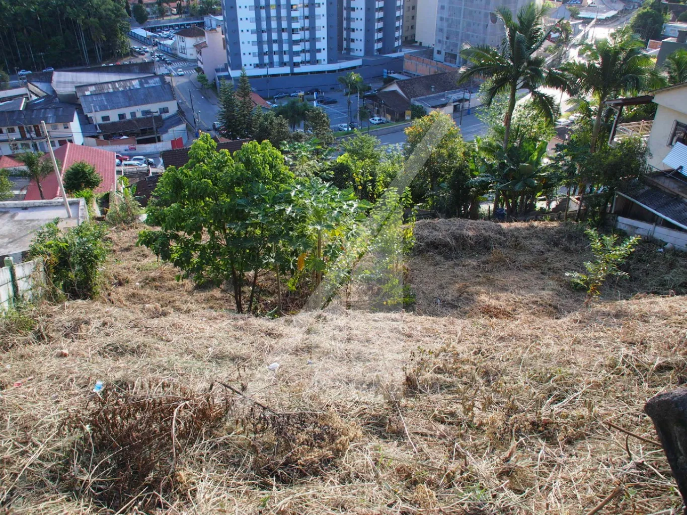 Terreno no Bairro Victor Konder - foto 1
