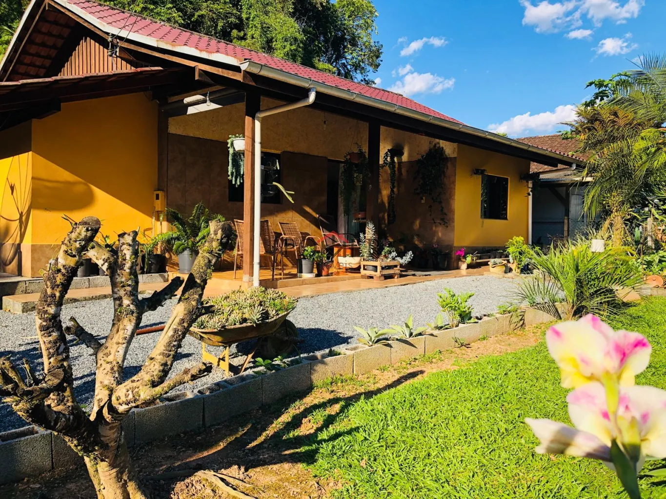 Excelente casa no centro da cidade de Pomerode, com 184,64m, edificada num terreno de 1.200,00m — foto 4