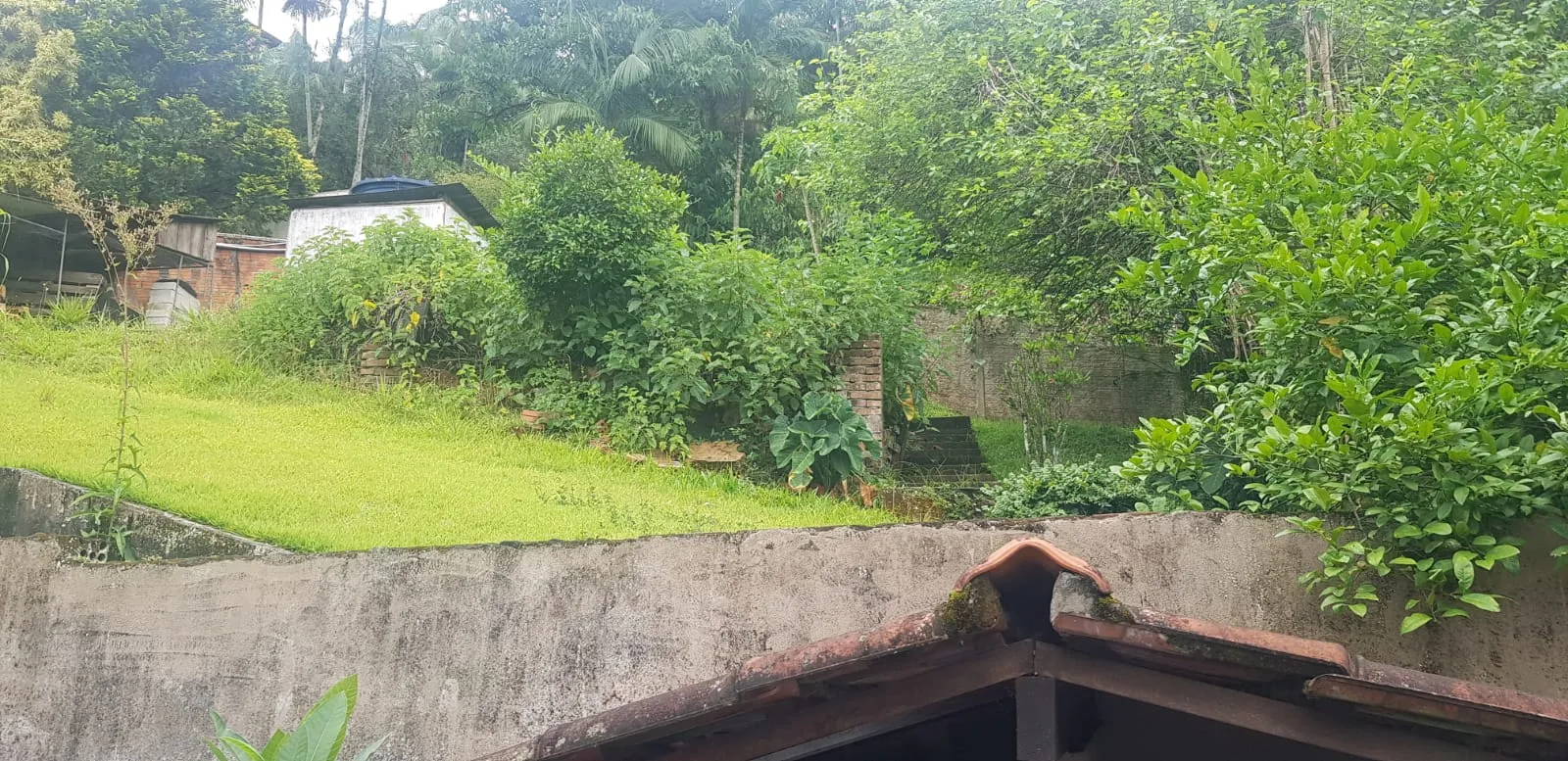 TERRENO VILA NOVA — foto 2